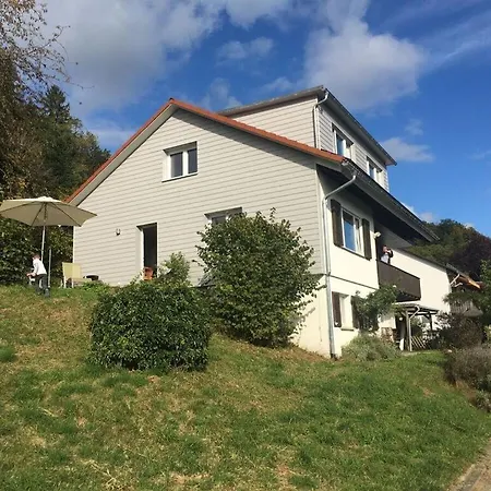 With A Panorama View Appartement Gailingen am Hochrhein